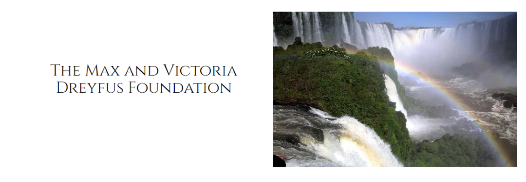 Max and Victoria Dreyfus Foundation